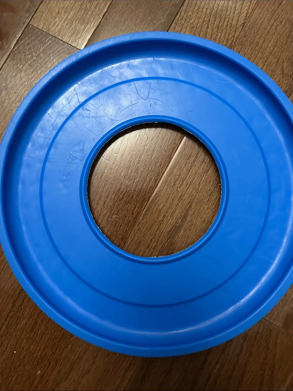 Pet toy bundle- Nerf Bright Blue Tire Ring Dog Toy